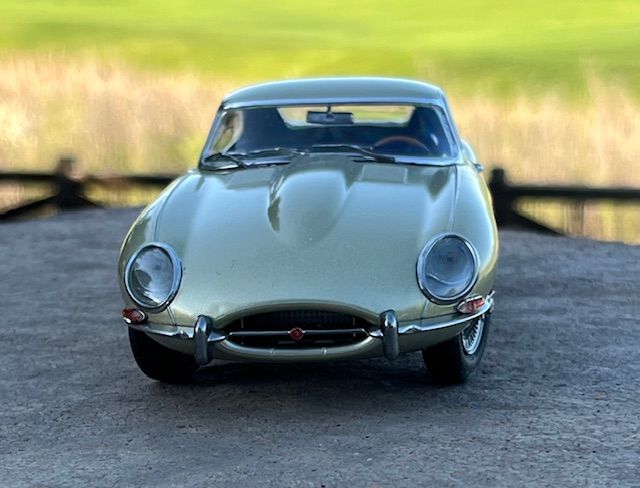 Frank ianucilli jaguar 1