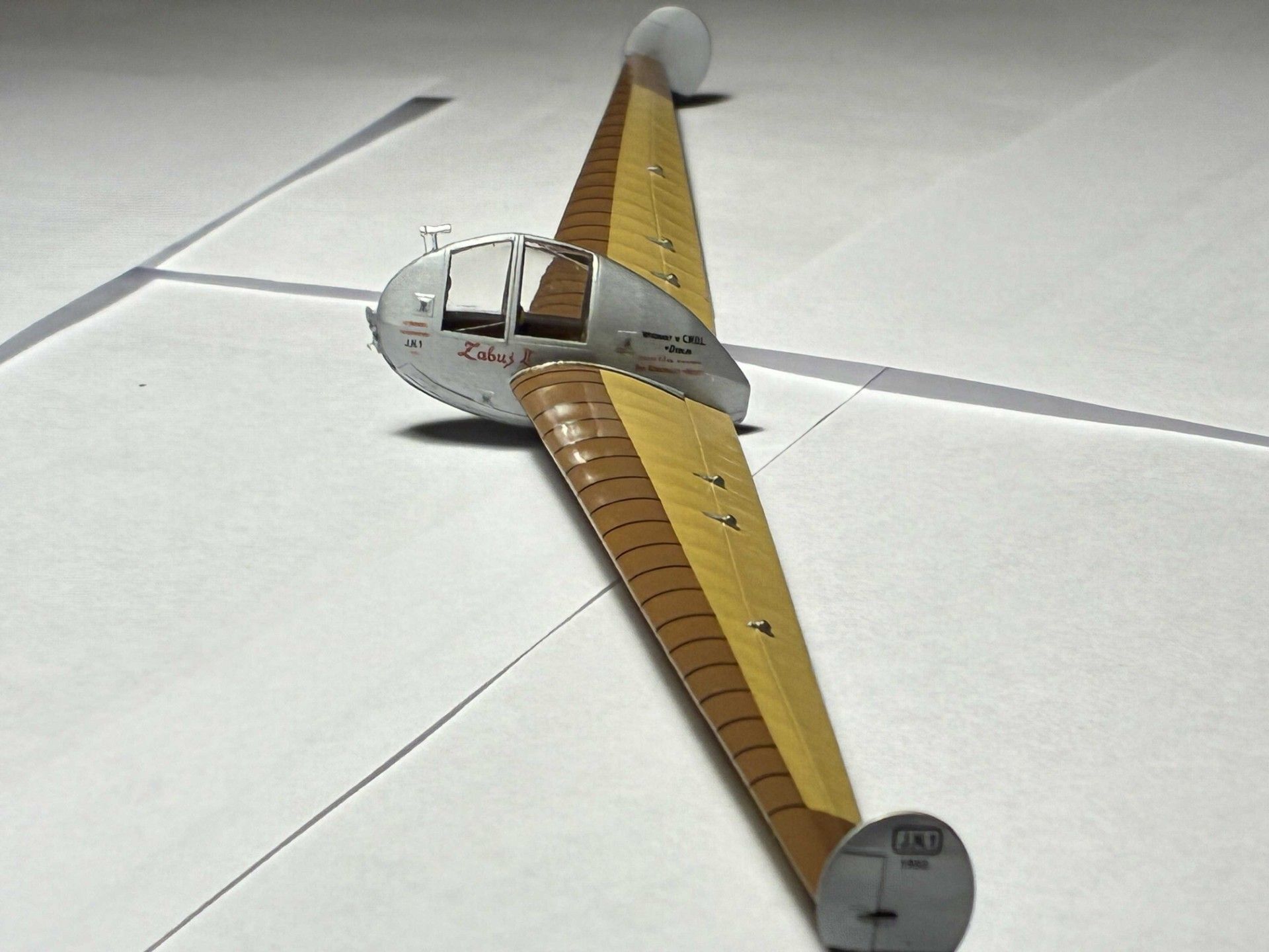 Naleszkiewicz JN-1 Zabus Glider