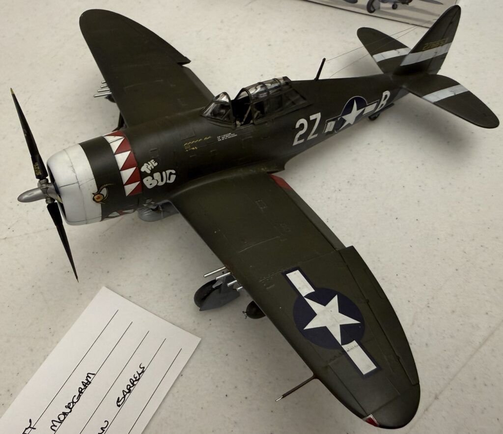 Marty 1 48 Monogram P 47D Razorback